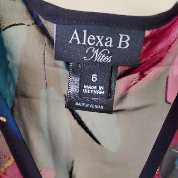 Alexa B Nites Size 6 Black Pink Gold Floral Chiffon Maxi Dress Party Event Date - Picture 10 of 10